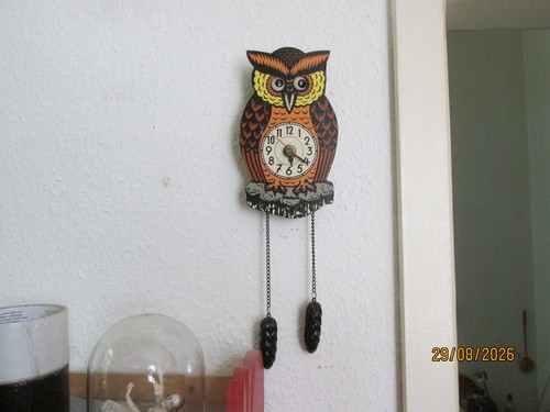 Eulen wanduhr aus kunststoff - aus,